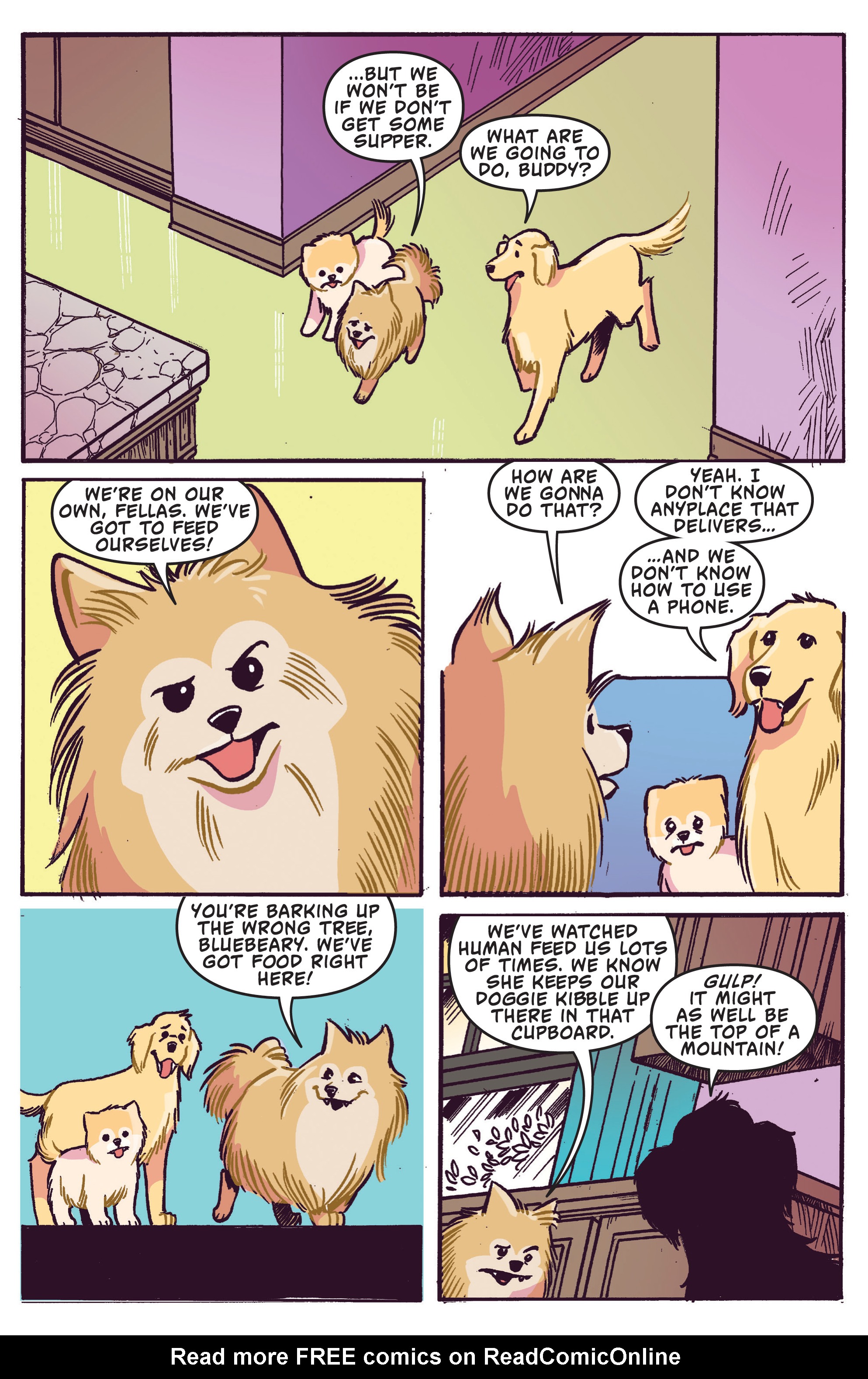 Read online Boo, The World's Cutest Dog comic -  Issue #1 - 15