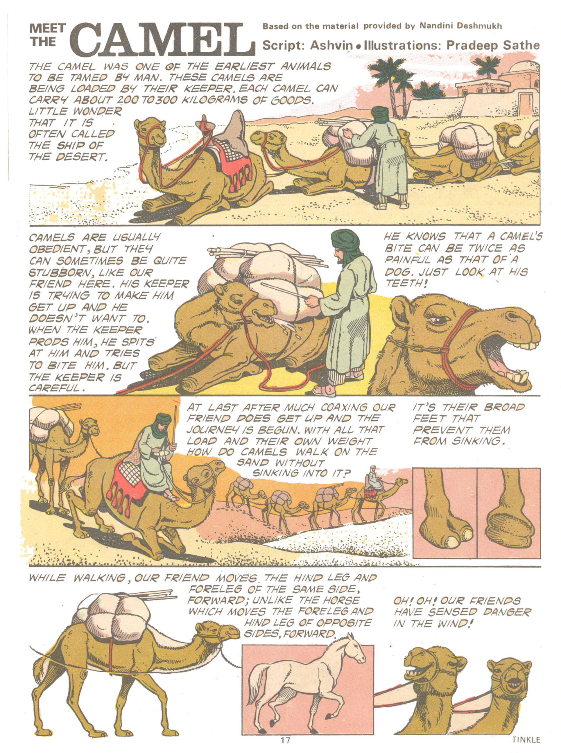 Read online Tinkle comic -  Issue #12 - 19