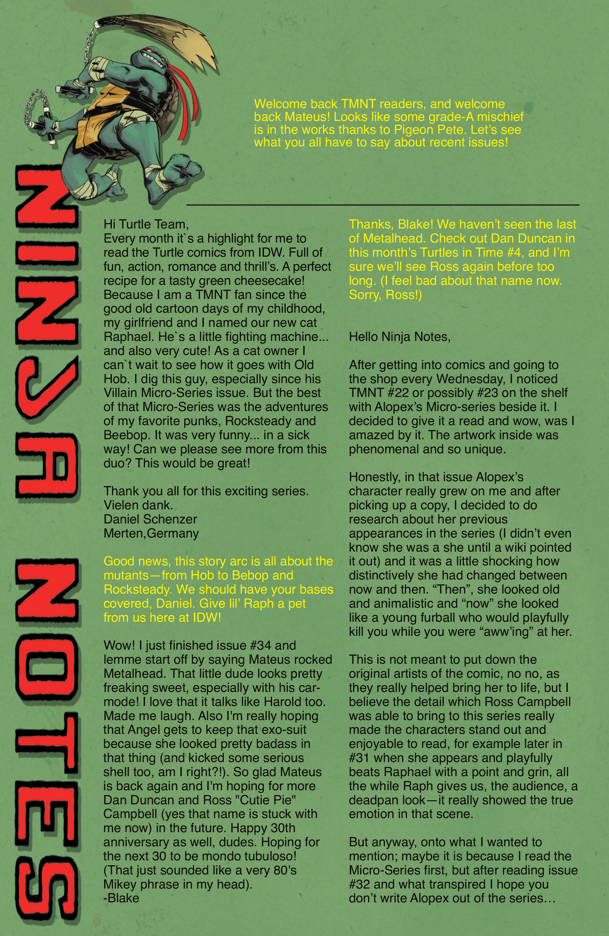 Read online Teenage Mutant Ninja Turtles (2011) comic -  Issue #38 - 28