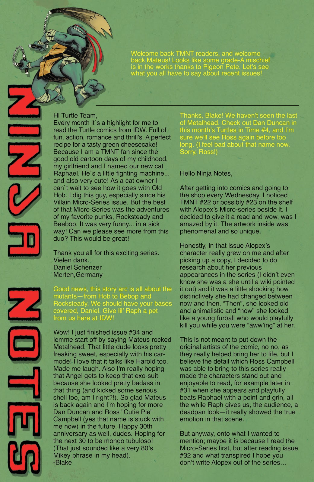 Teenage Mutant Ninja Turtles (2011) issue 38 - Page 28