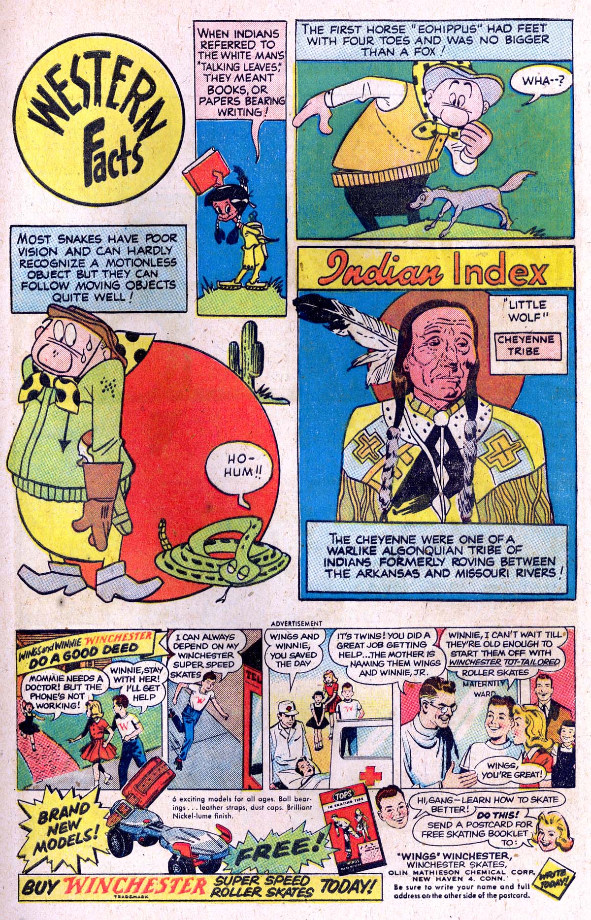 Read online Peter Panda comic -  Issue #30 - 9