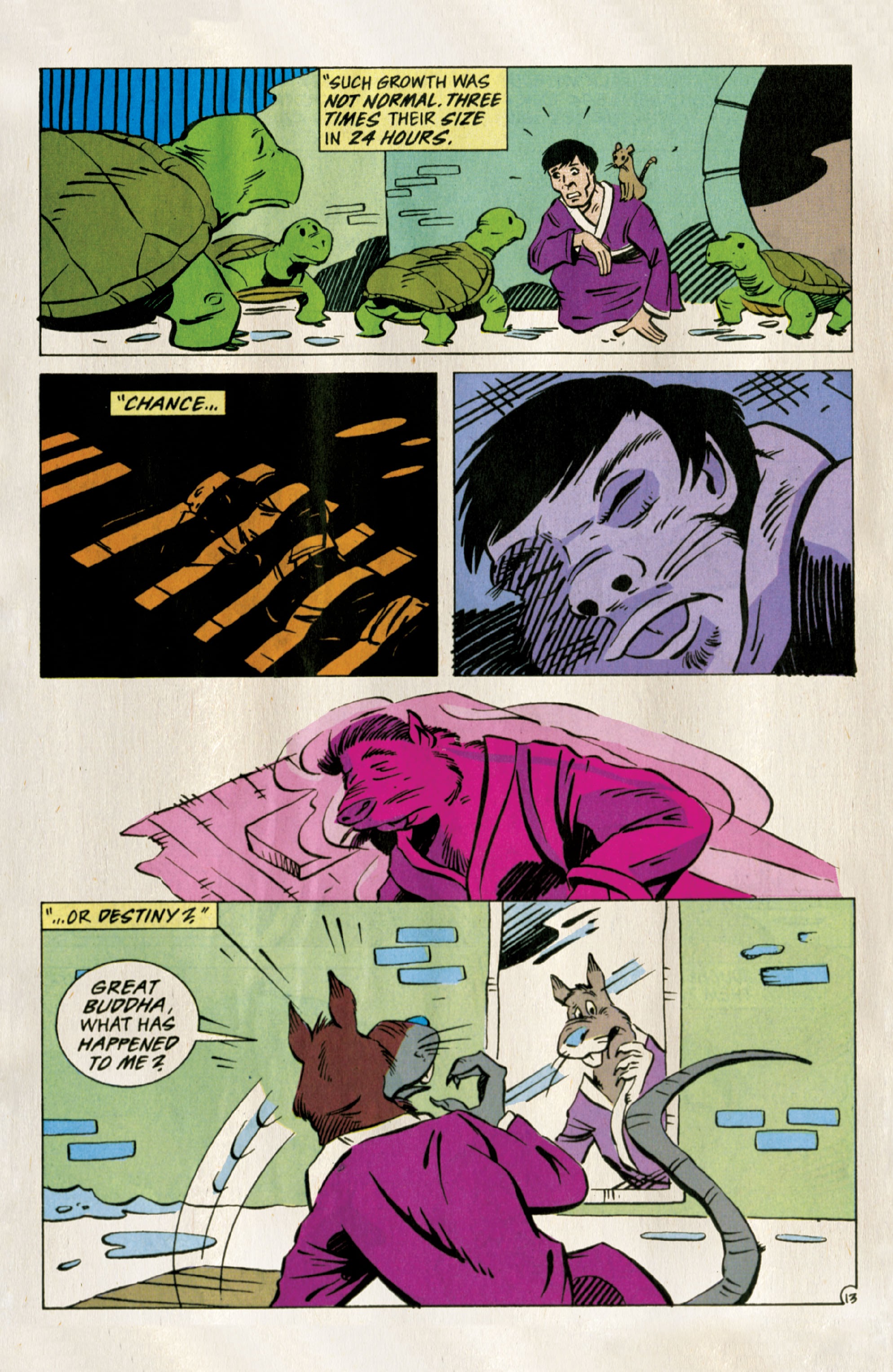 Read online TMNT: Best of Splinter comic -  Issue # TPB - 15