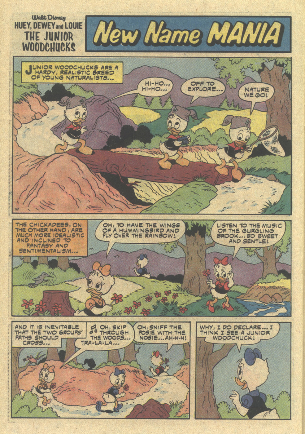 Read online Huey, Dewey, and Louie Junior Woodchucks comic -  Issue #56 - 26
