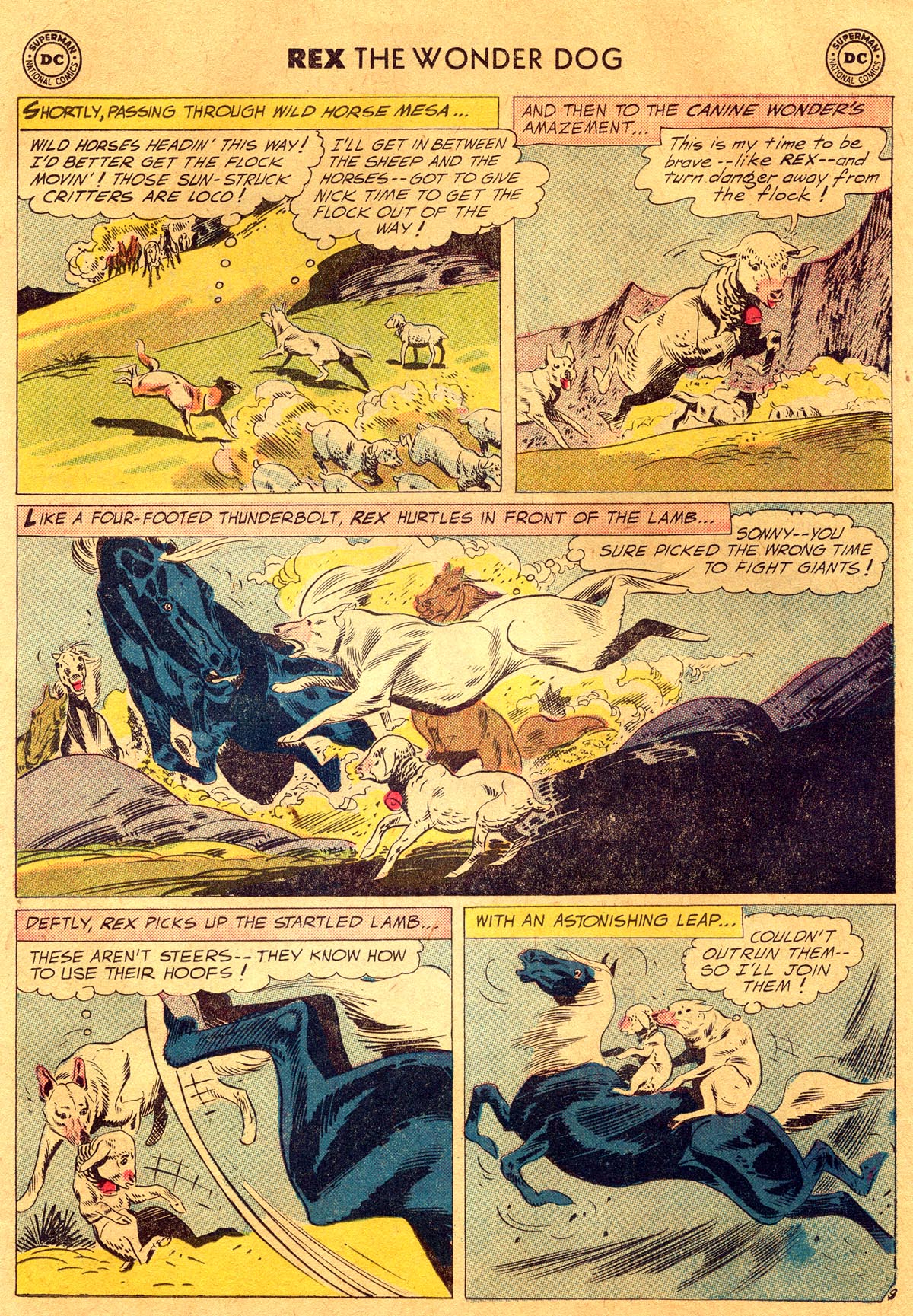 Read online The Adventures of Rex the Wonder Dog comic -  Issue #40 - 11