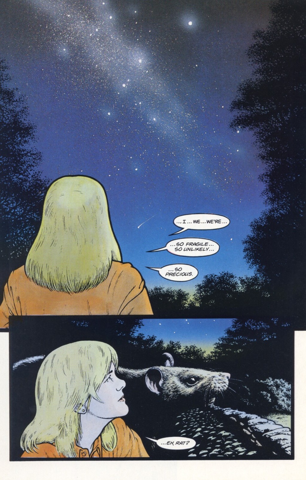 Read online The Tale of One Bad Rat comic -  Issue #4 - 18