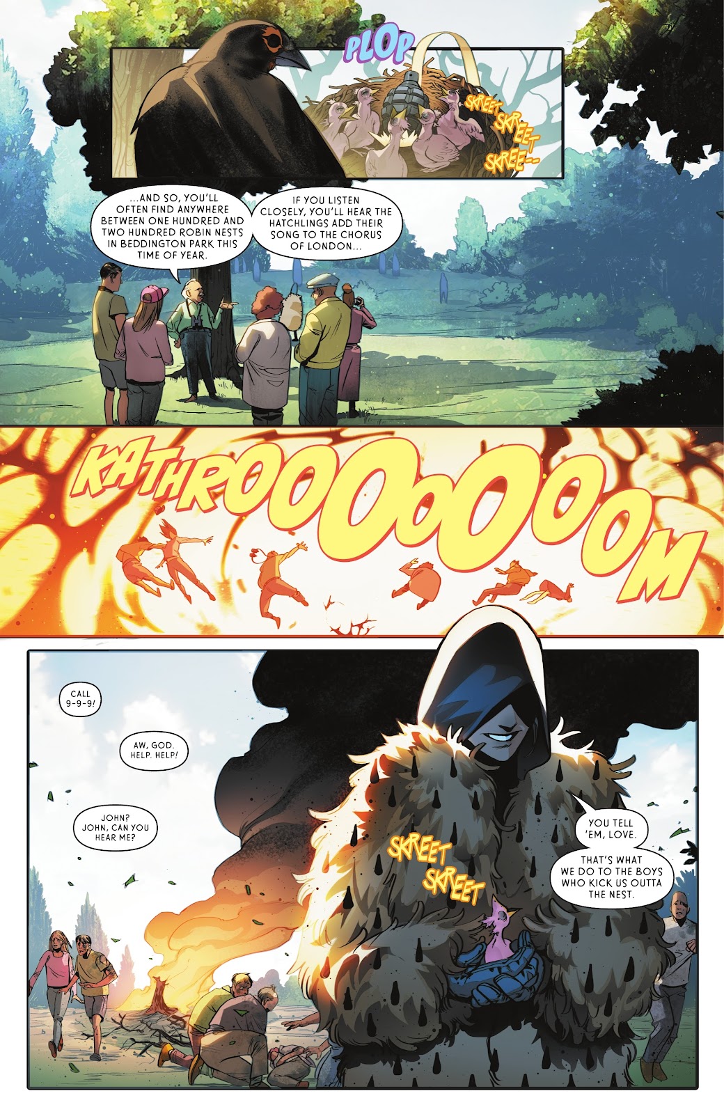 Robins issue 1 - Page 3