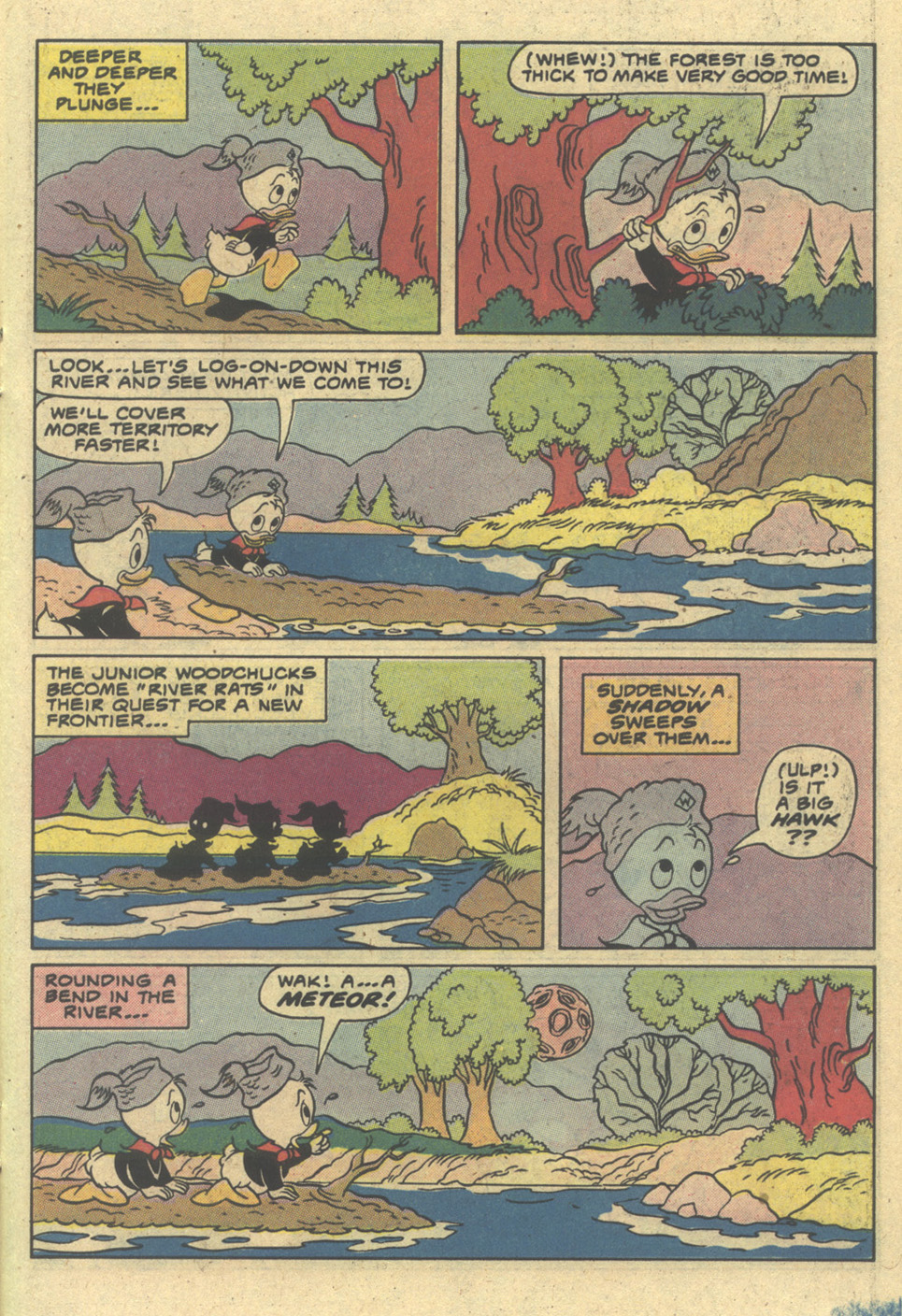 Read online Huey, Dewey, and Louie Junior Woodchucks comic -  Issue #61 - 15