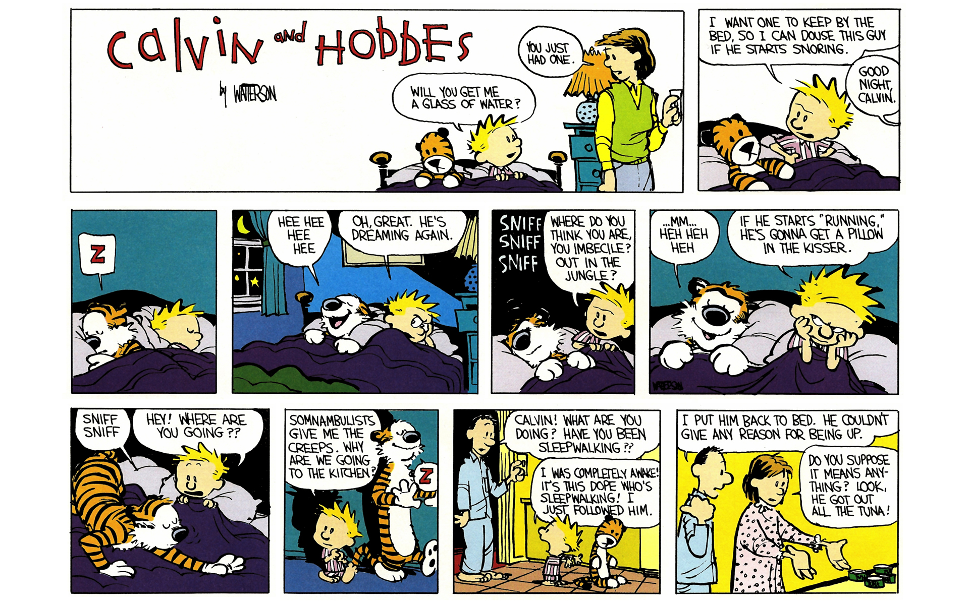 Read online Calvin and Hobbes comic -  Issue #4 - 28