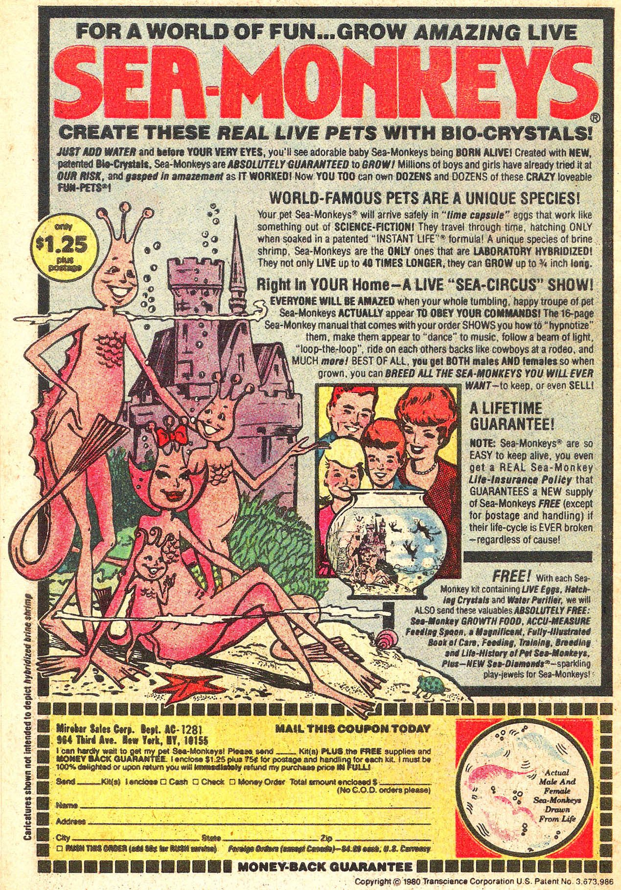 Read online Archie Giant Series Magazine comic -  Issue #515 - 34