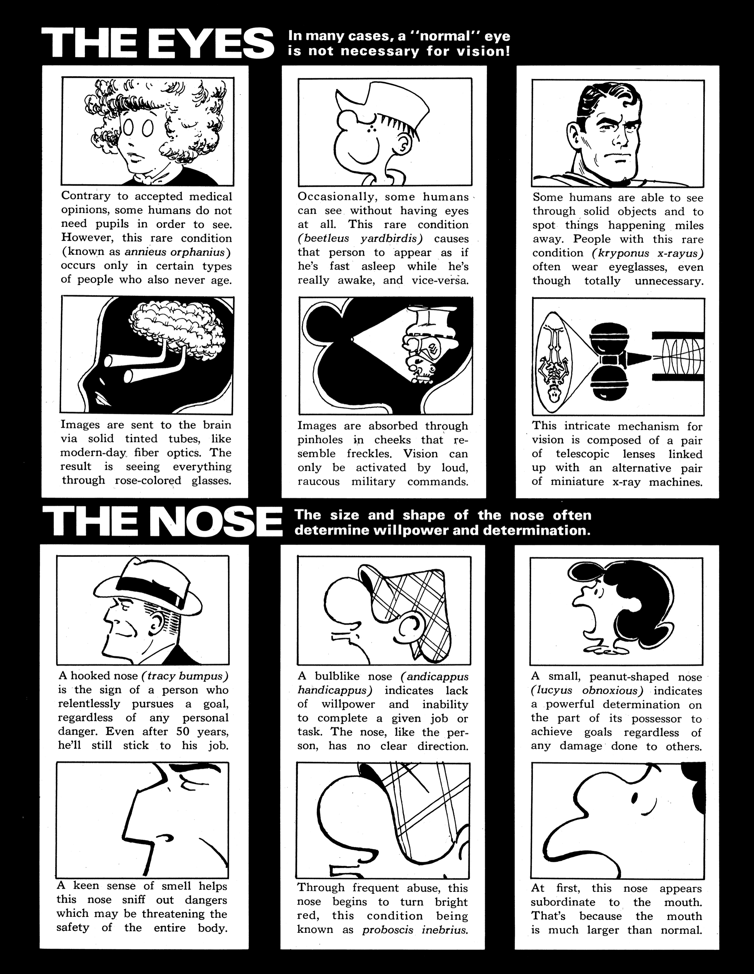 Read online MAD Magazine comic -  Issue #17 - 53