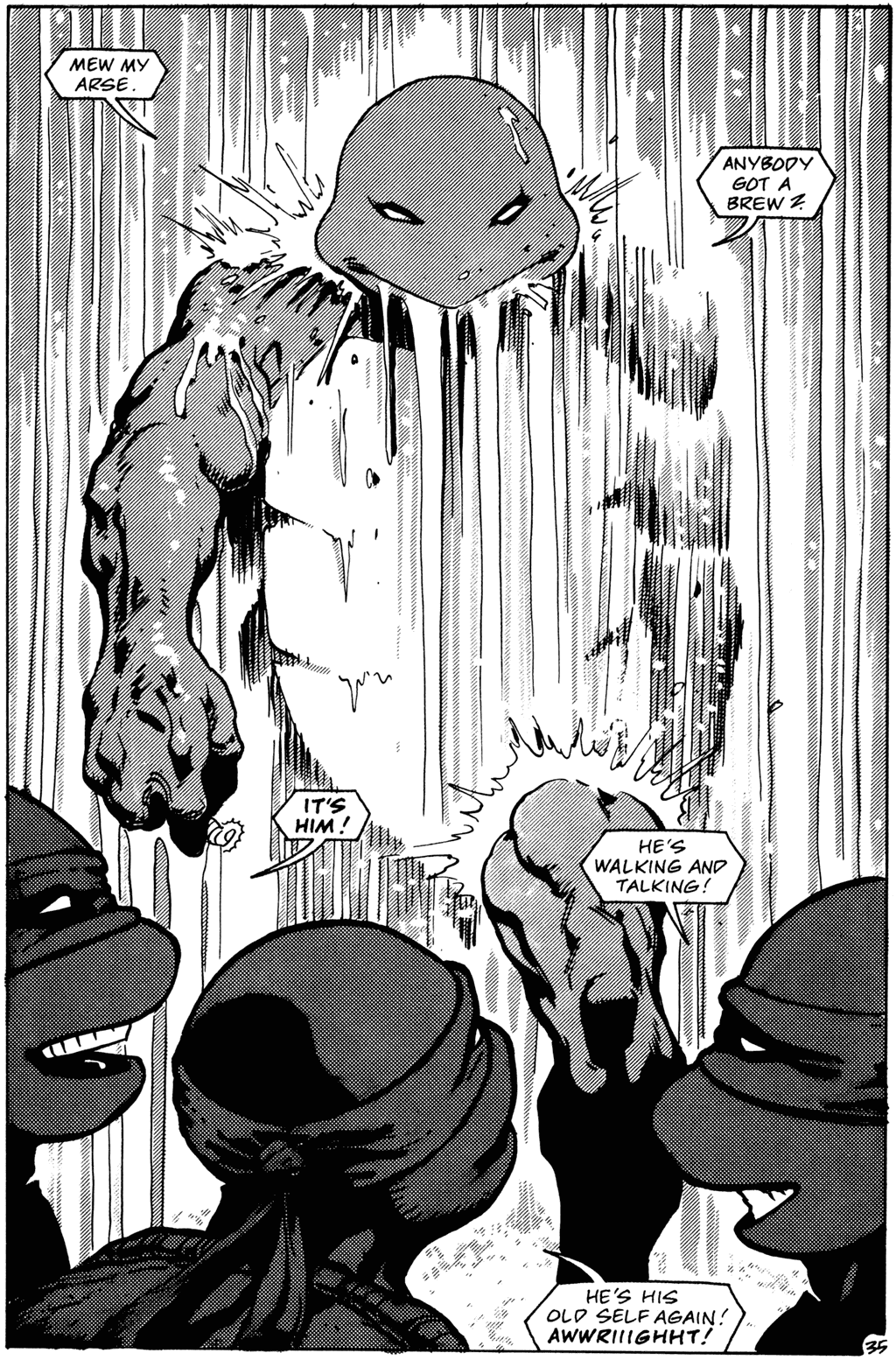 Read online Teenage Mutant Ninja Turtles (1984) comic -  Issue #26 - 37