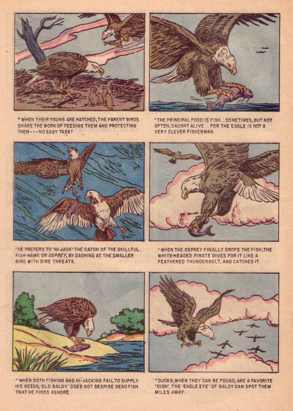 Read online Four Color Comics comic -  Issue #662 - 20