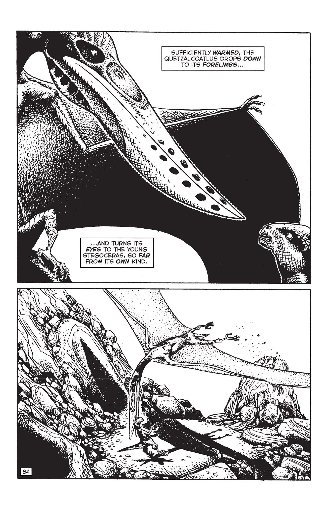 Read online Paleo: Tales of the late Cretaceous comic -  Issue # TPB (Part 1) - 98