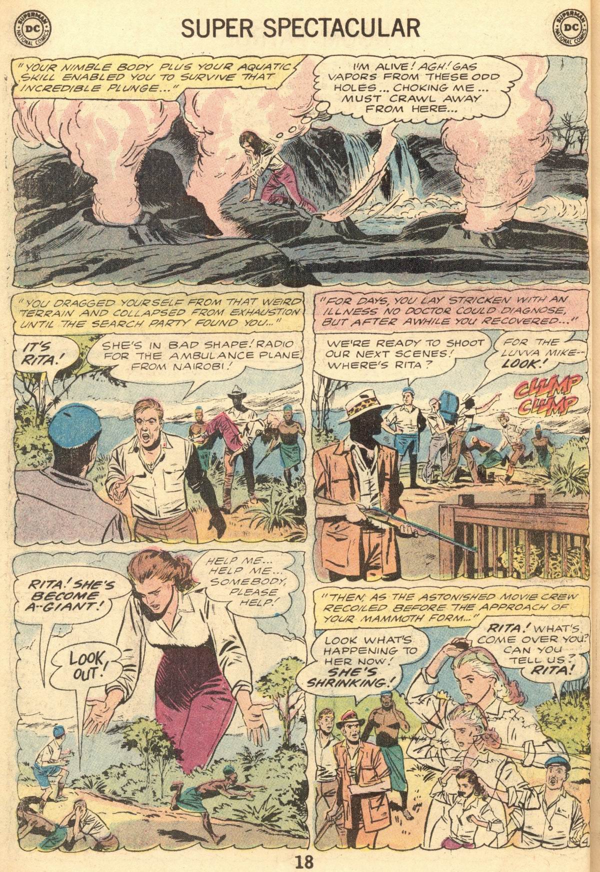 Read online Batman (1940) comic -  Issue #238 - 18