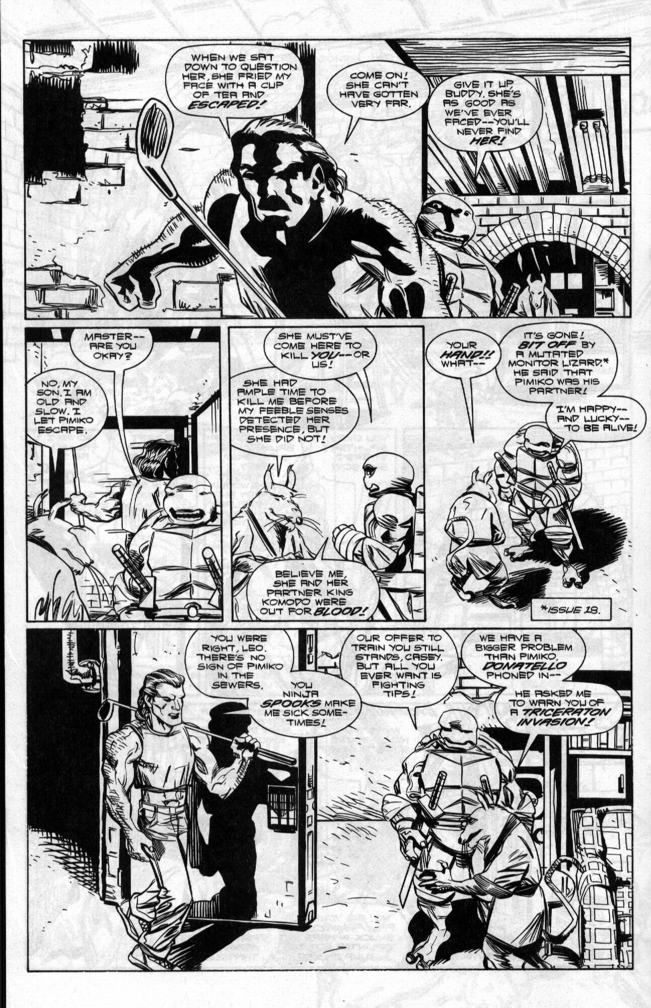 Read online Teenage Mutant Ninja Turtles (1996) comic -  Issue #20 - 14