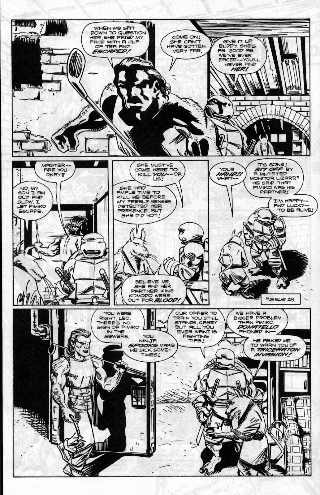 Teenage Mutant Ninja Turtles (1996) Issue #20 #20 - English 14