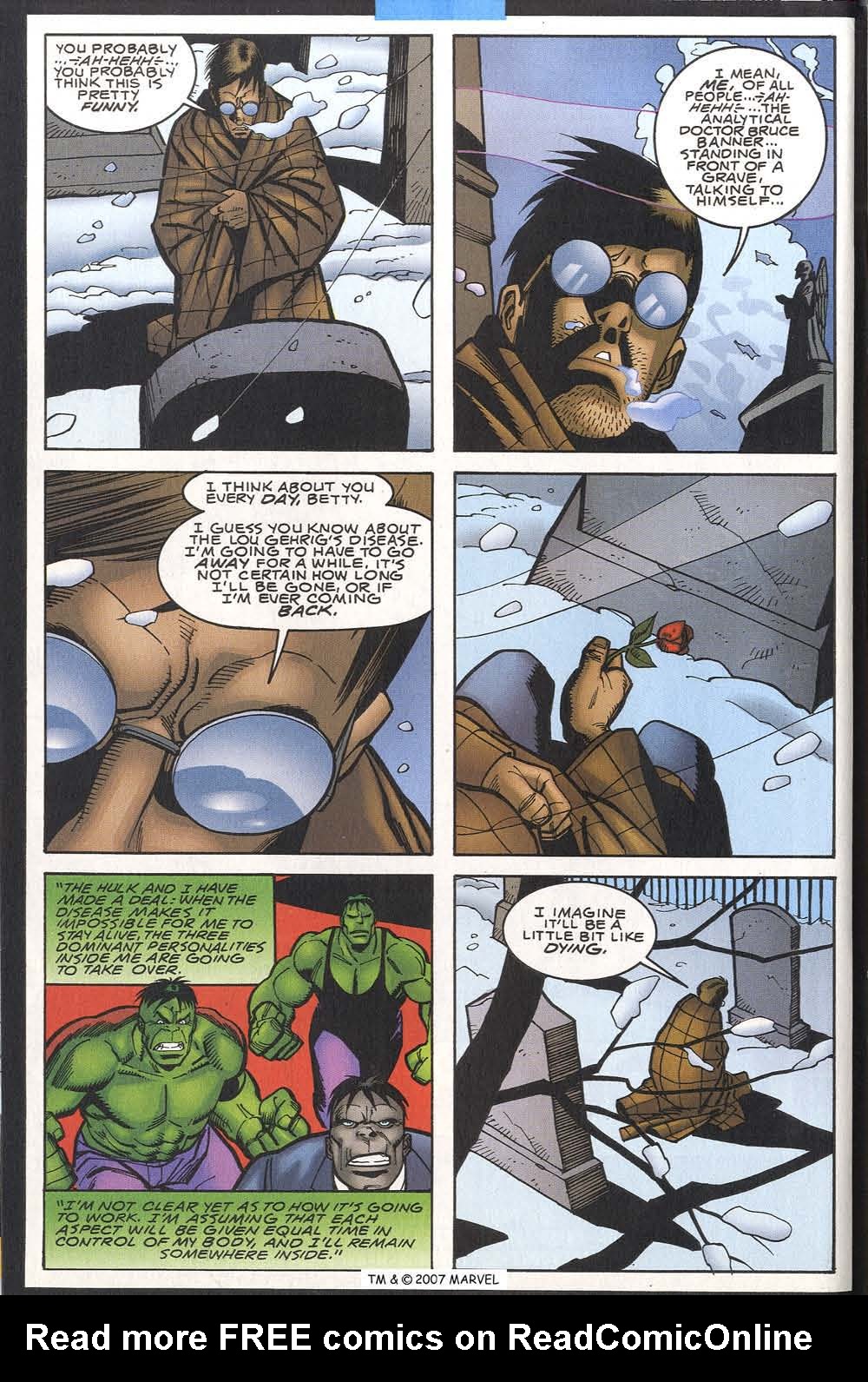 The Incredible Hulk (2000) Issue #14 #3 - English 6