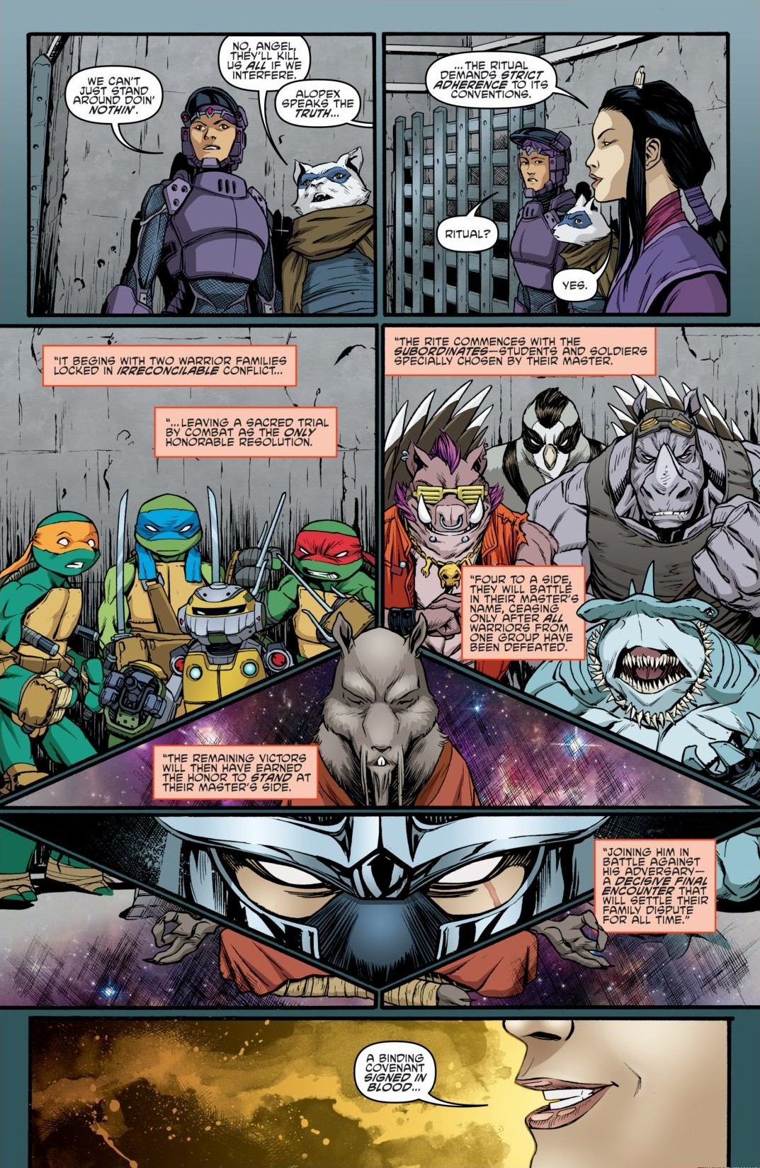 Read online Teenage Mutant Ninja Turtles: The IDW Collection comic -  Issue # TPB 6 (Part 3) - 28