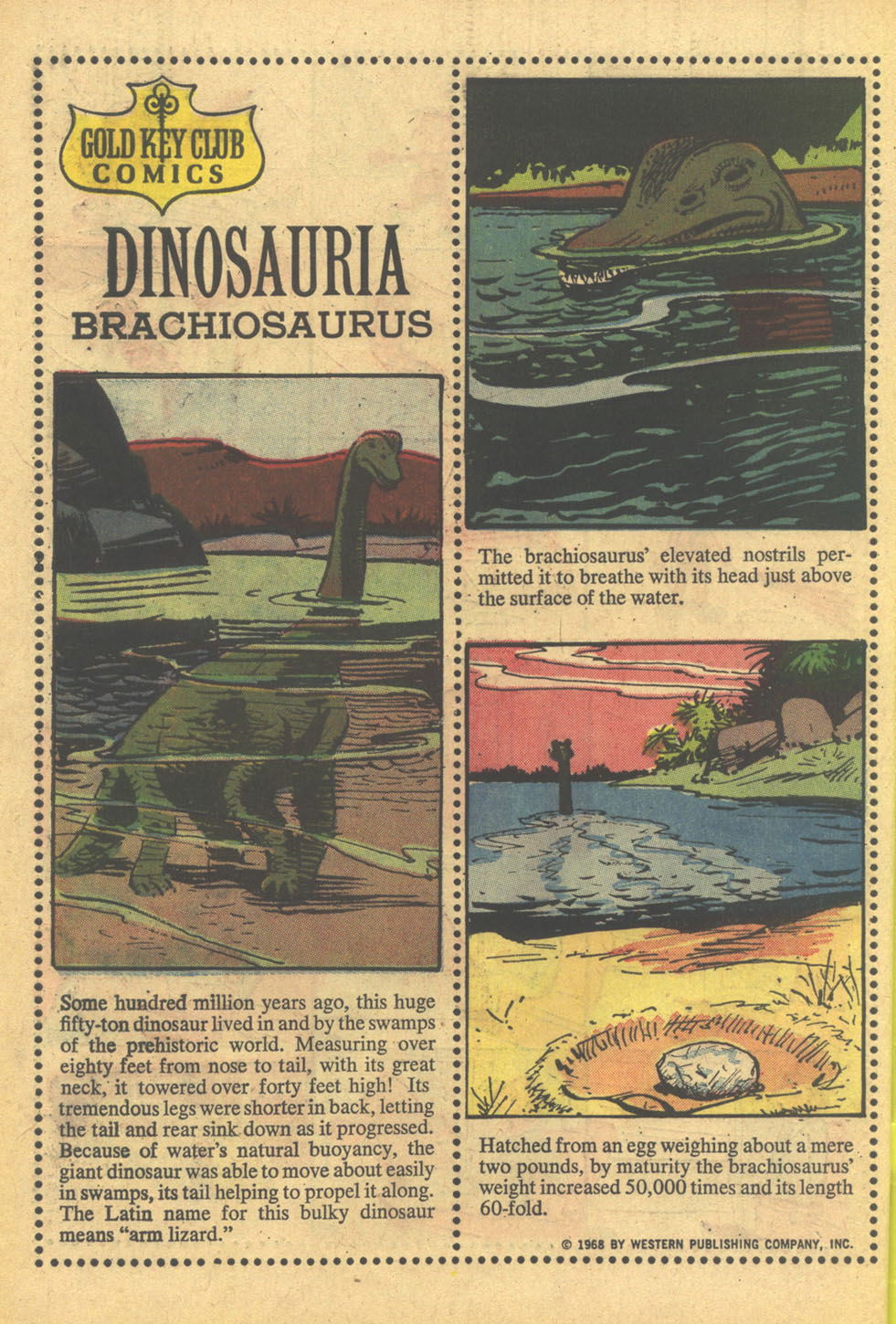 Read online Walt Disney's Comics and Stories comic -  Issue #332 - 34