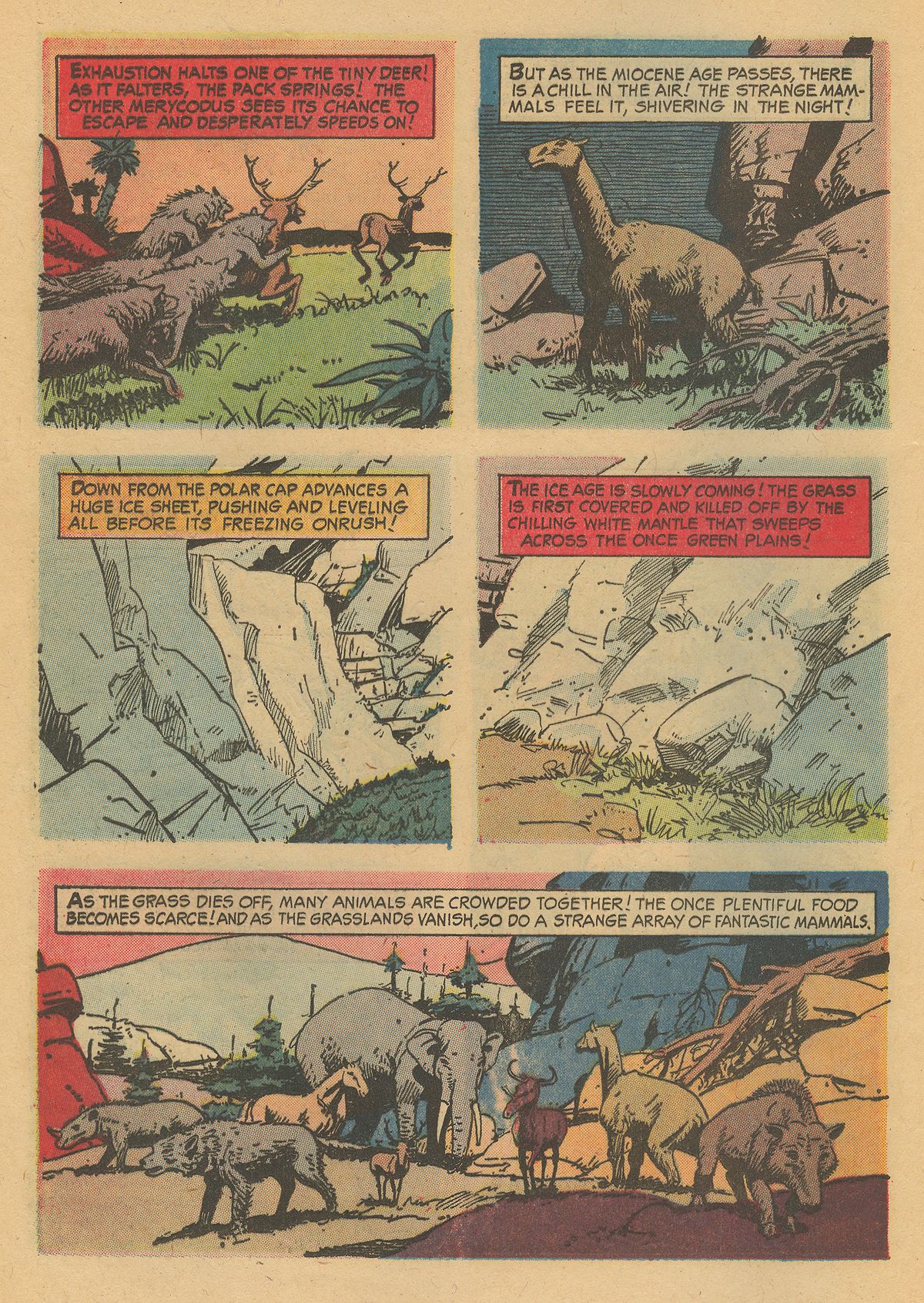 Read online Turok, Son of Stone comic -  Issue #31 - 20