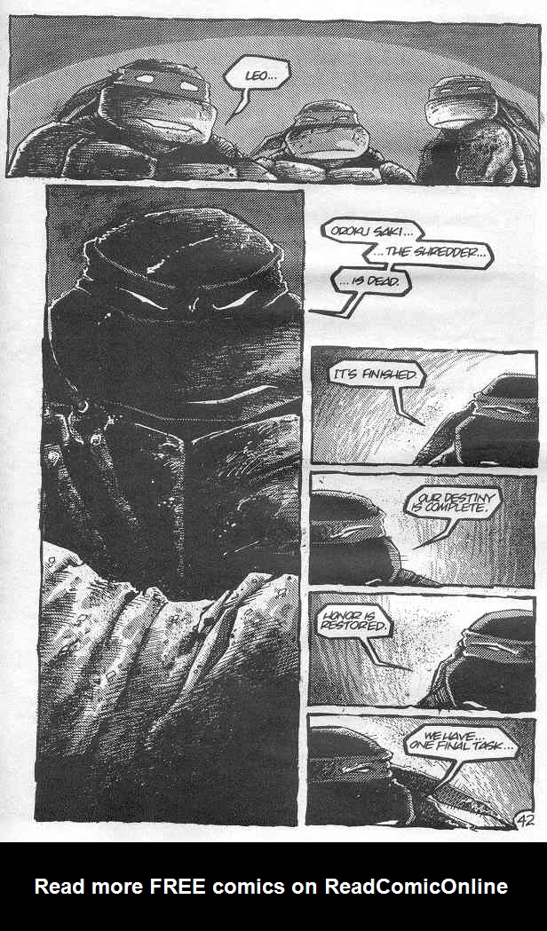 Teenage Mutant Ninja Turtles (1984) Issue #21 #21 - English 40