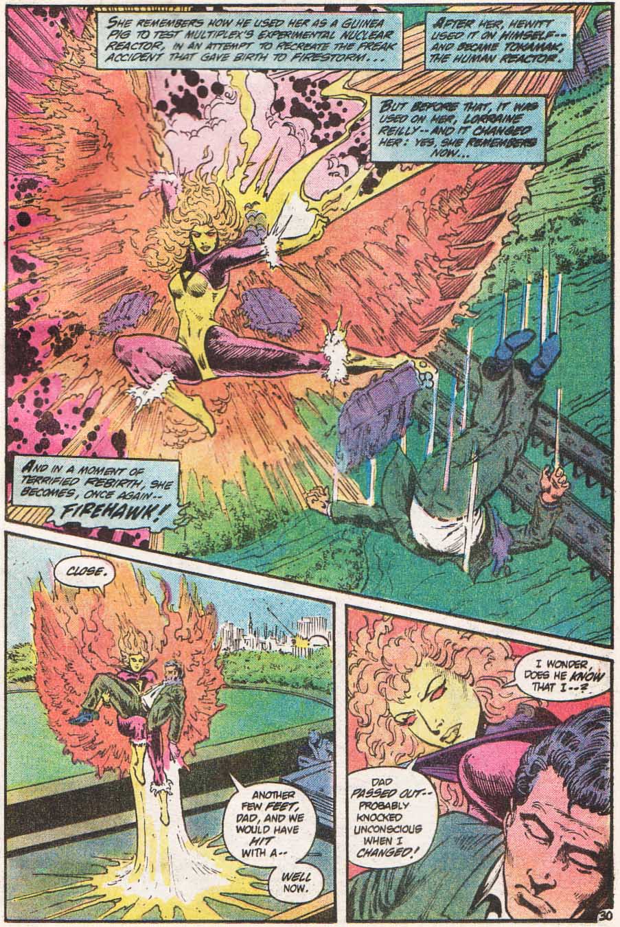 The Fury of Firestorm _Annual 1 #1 - English 31