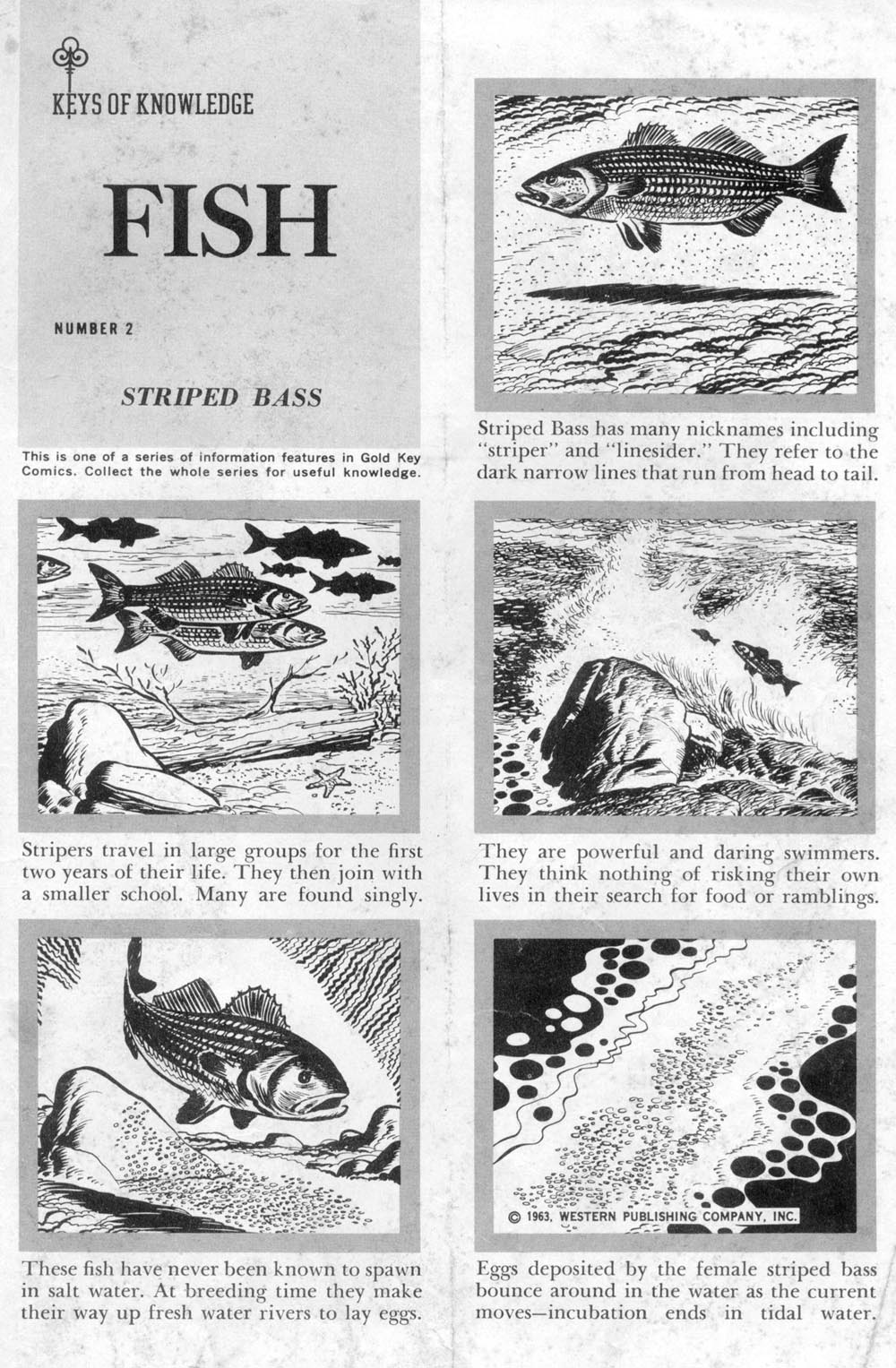 Read online Walt Disney's Comics and Stories comic -  Issue #276 - 33