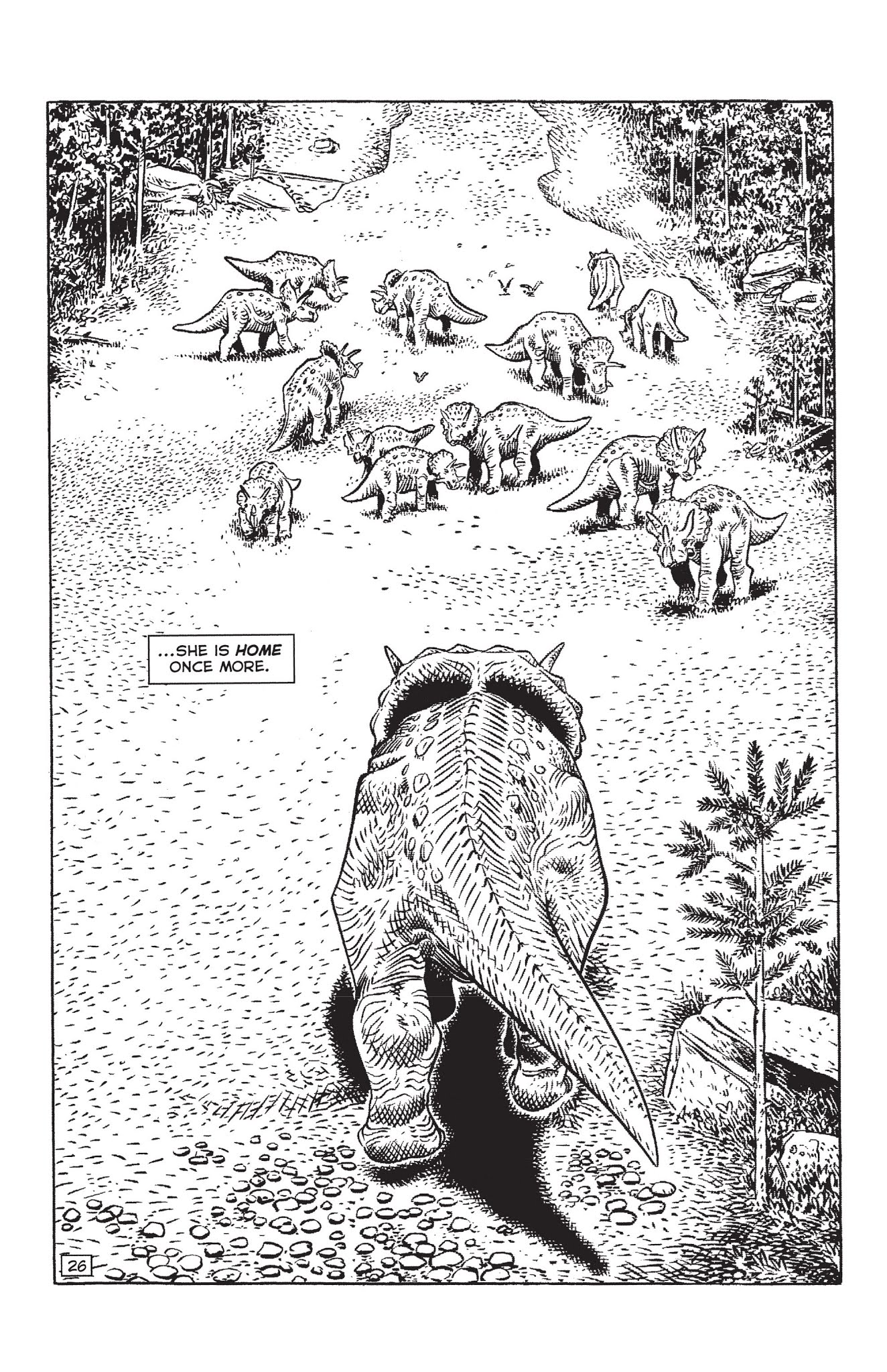 Read online Paleo: Tales of the late Cretaceous comic -  Issue # TPB (Part 1) - 41
