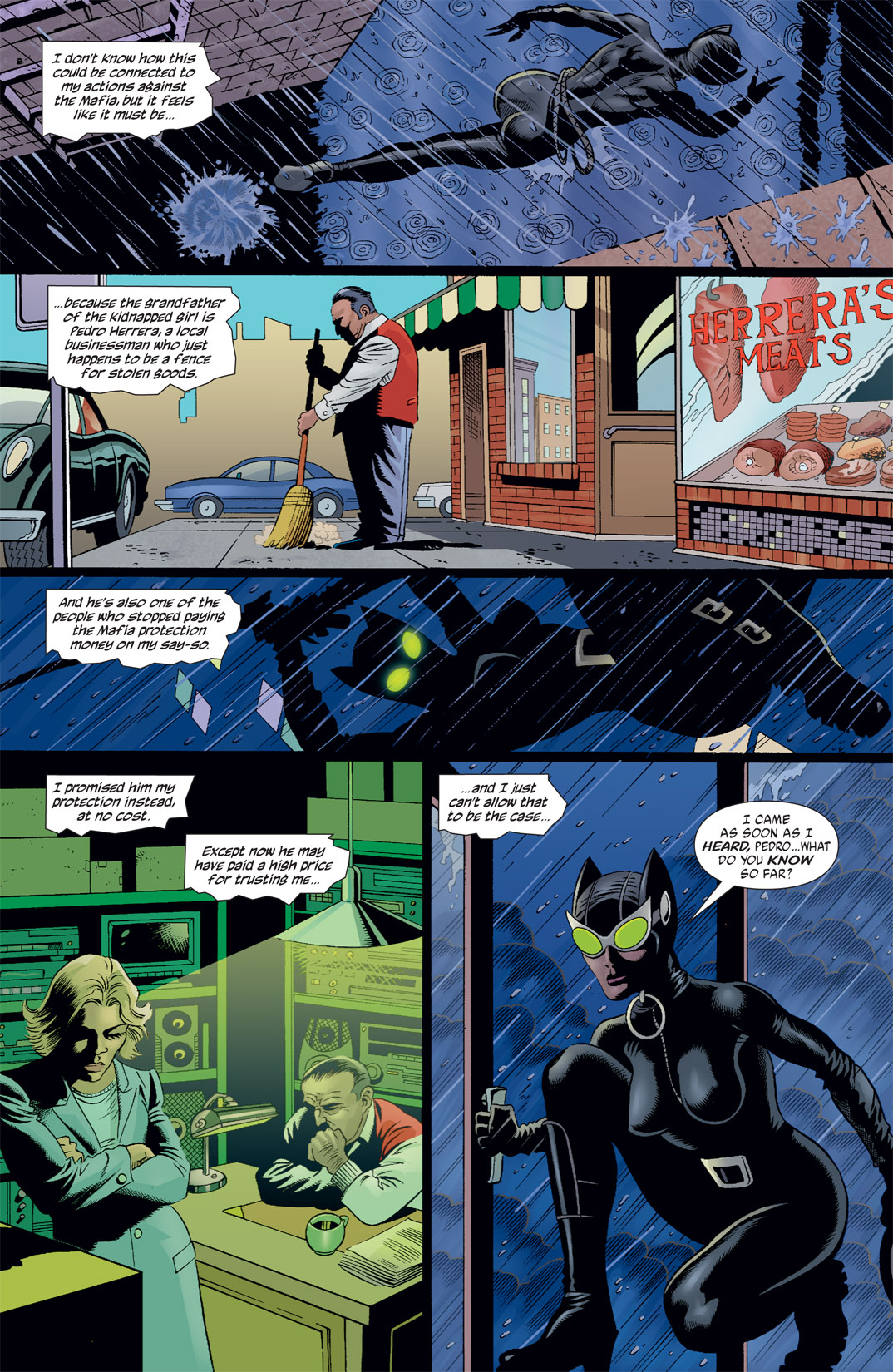 Read online Catwoman (2002) comic -  Issue #26 - 13