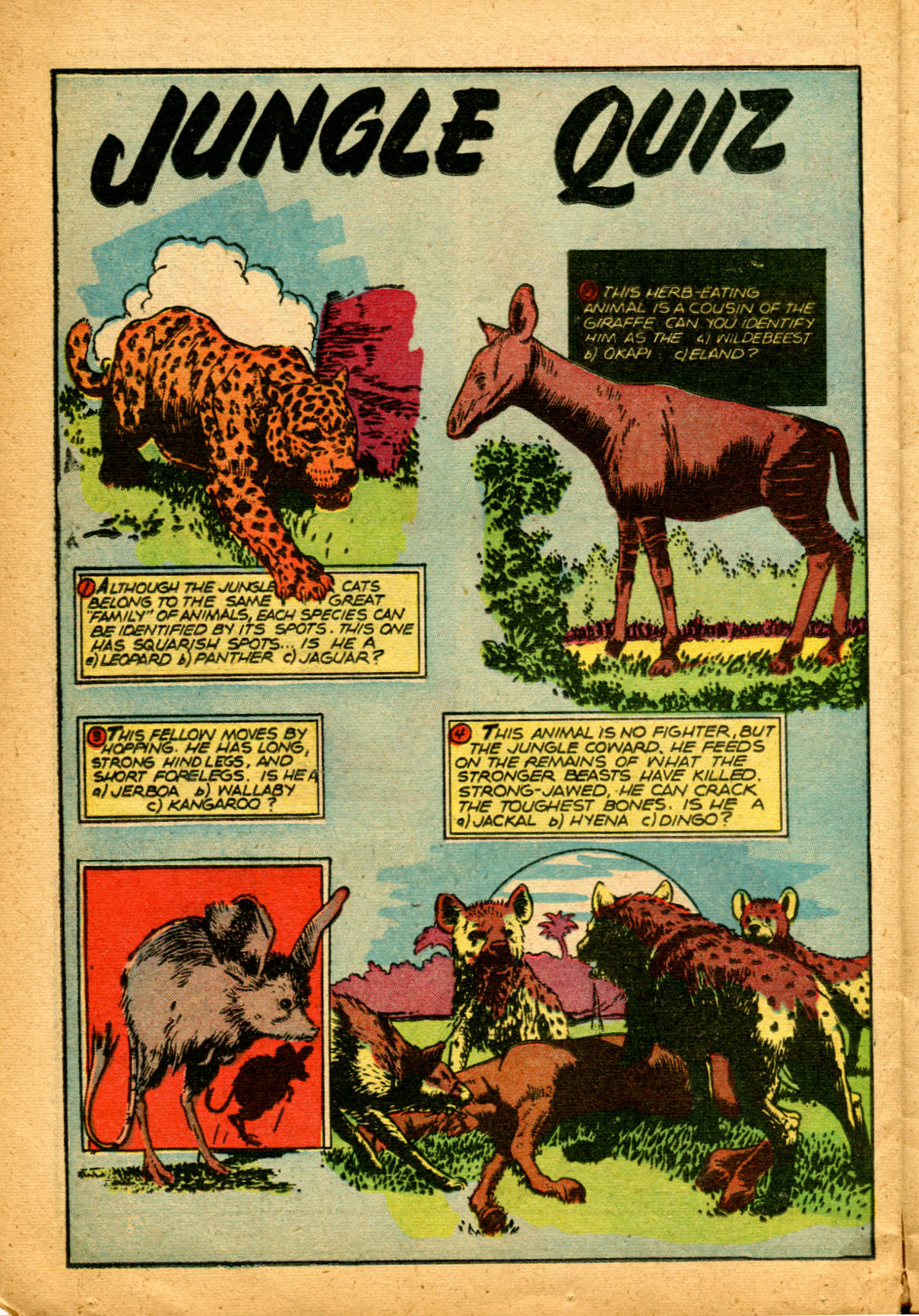 Read online Rangers Comics comic -  Issue #64 - 26