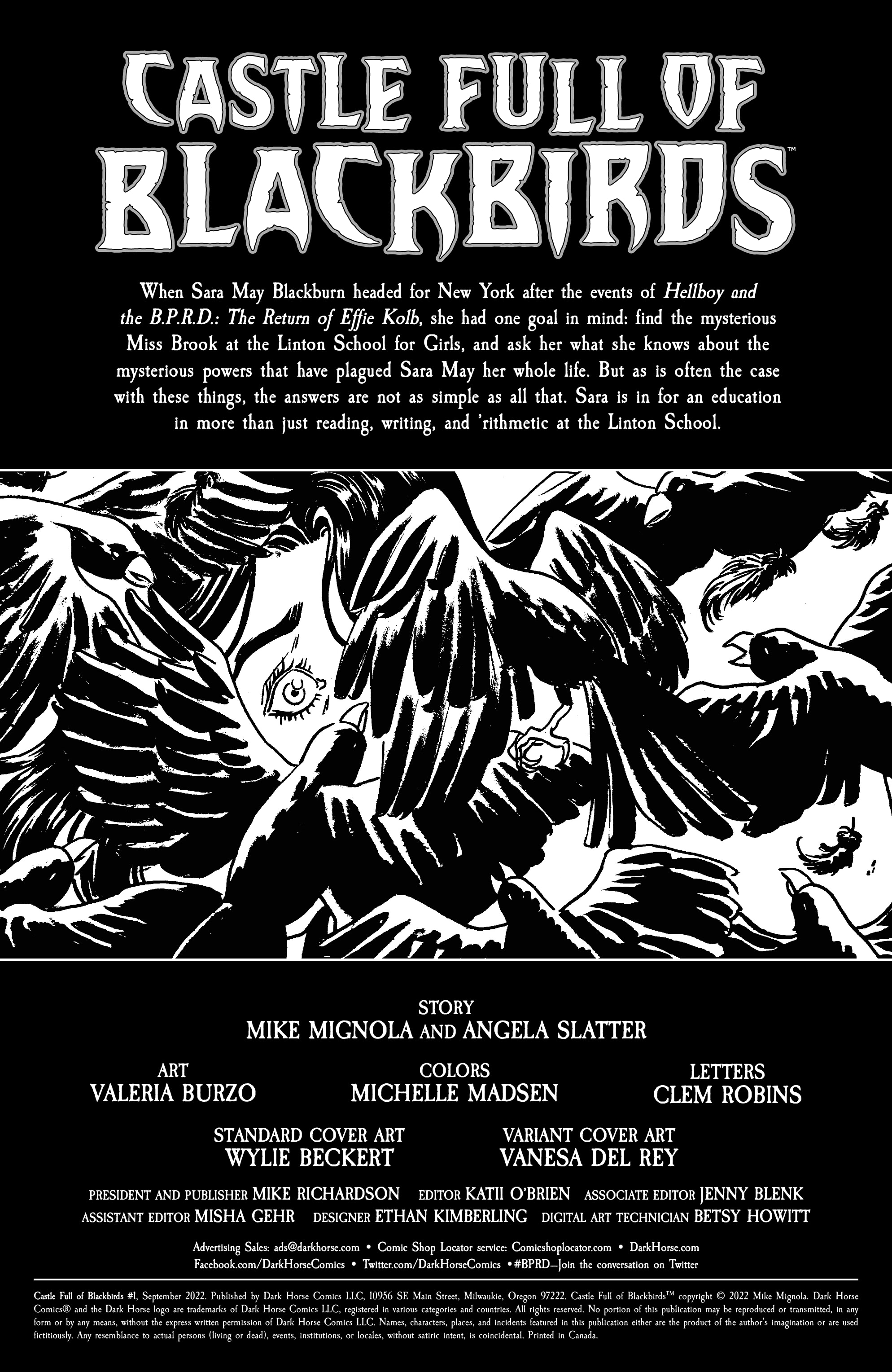 Read online Castle Full of Blackbirds comic -  Issue #1 - 2