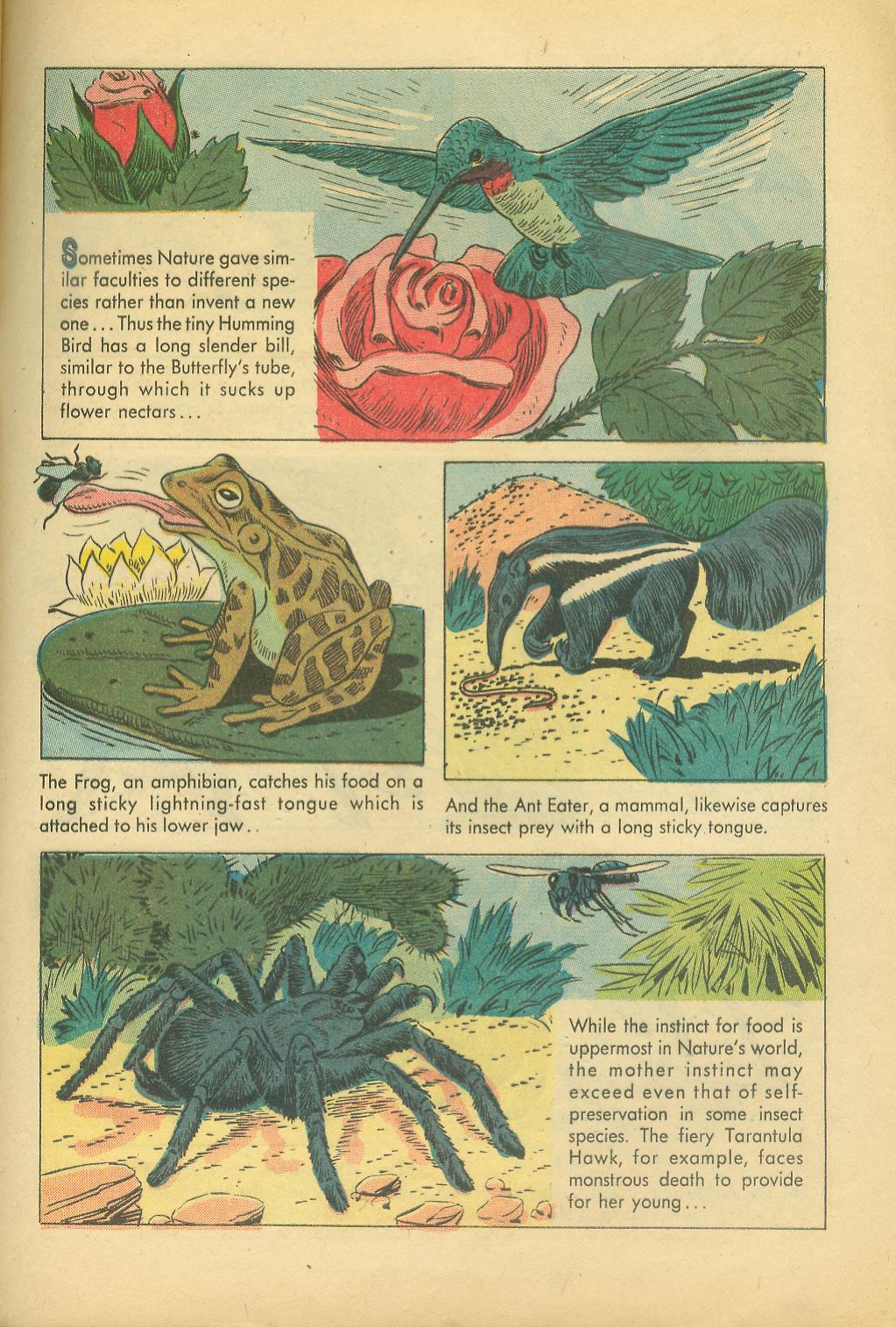 Four Color Comics issue 749 - Page 29