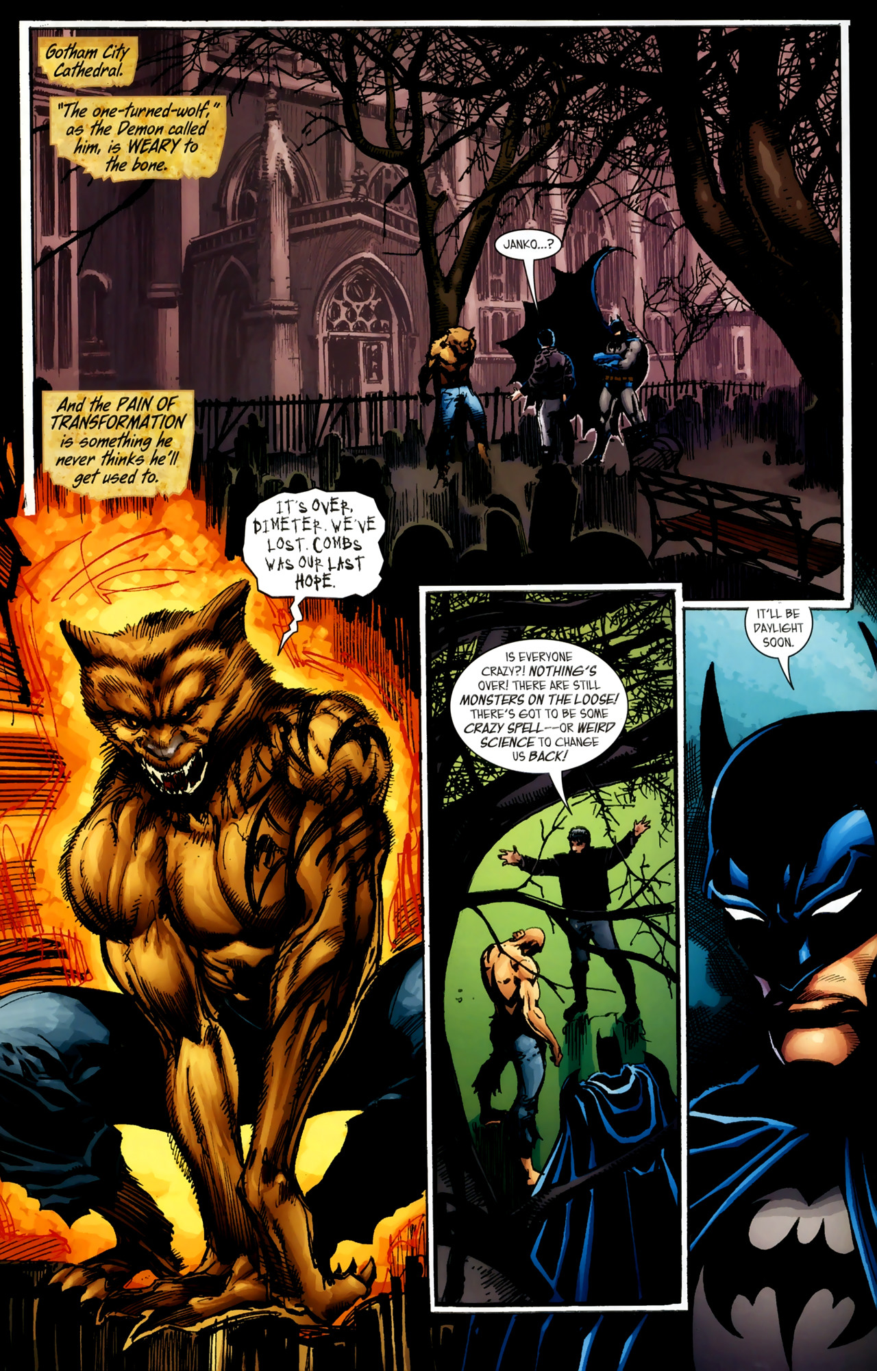 Read online Superman and Batman vs. Vampires and Werewolves comic -  Issue #5 - 13
