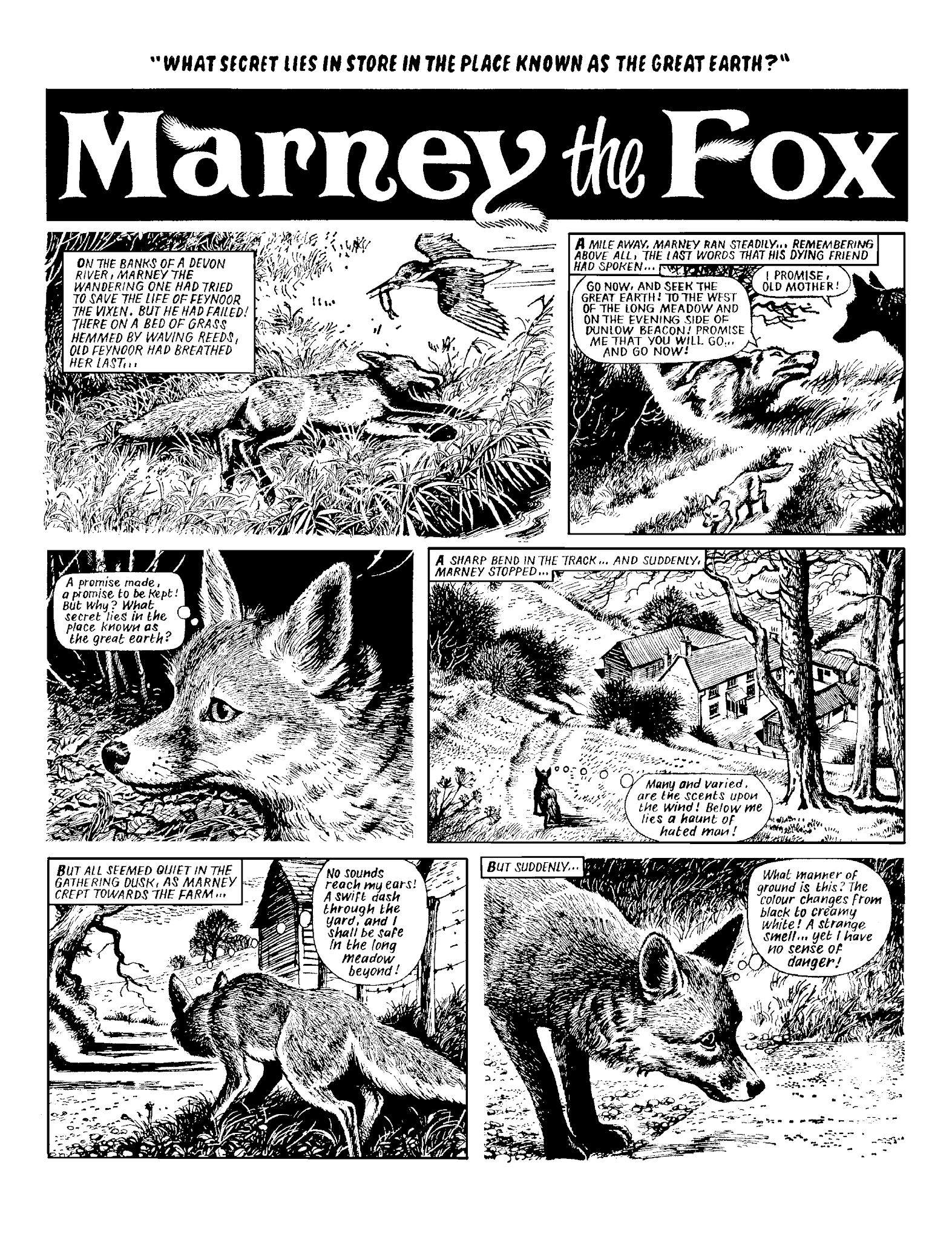 Read online Marney the Fox comic -  Issue # TPB (Part 2) - 74