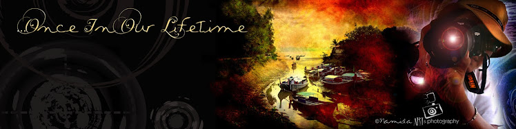 ...Once In Our Lifetime