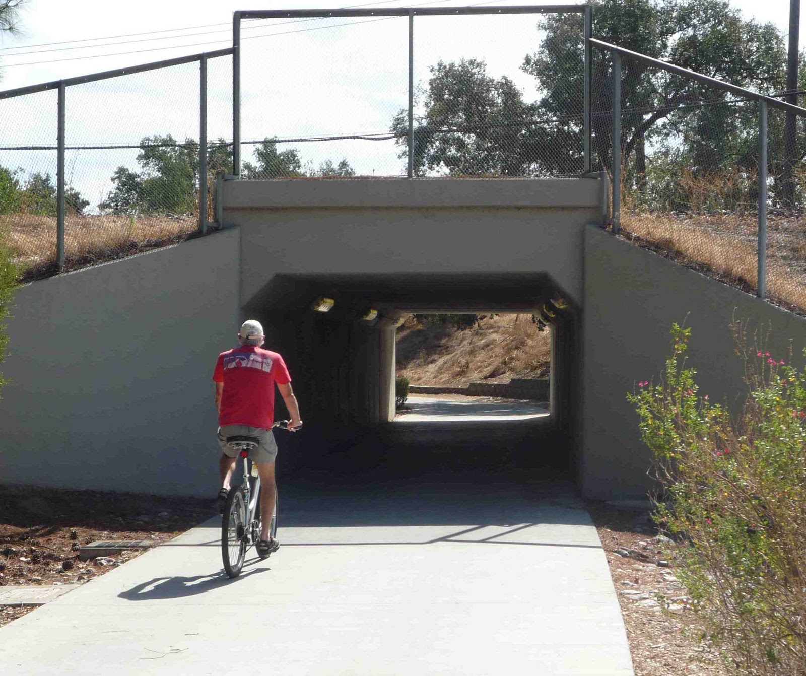 Stark Raving Nomads Davis, Calif Experiencing Platinum BikeFriendliness