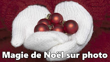 A Direcção da Comunidade Angolana de Montreal, deseja aos membros e amigos festas felizes !