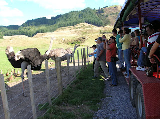 Agrodome, Nueva Zelanda, vuelta al mundo, round the world, La vuelta al mundo de Asun y Ricardo