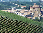 Inaugura nel Castello di Barolo, il 12 Settembre 2010, Wi-Mu: IL MUSEO INTERNAZIONALE DEL VINO