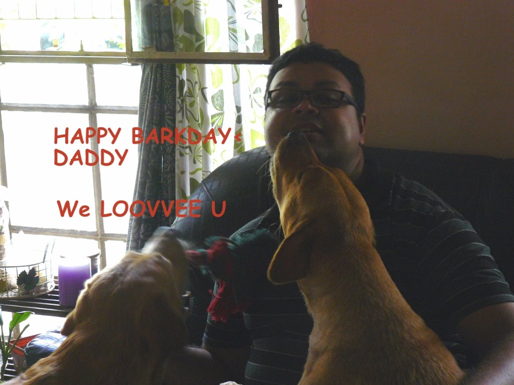 pawprints-in-the-sands-of-time-happy-barkday-daddy