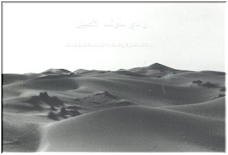 الكثبان الرملية بين وادي سُوف و وادي ريغ