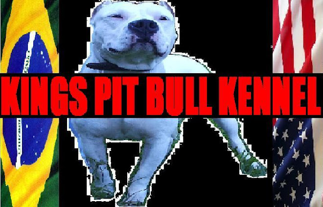 KINGS PIT BULL KENNEL
