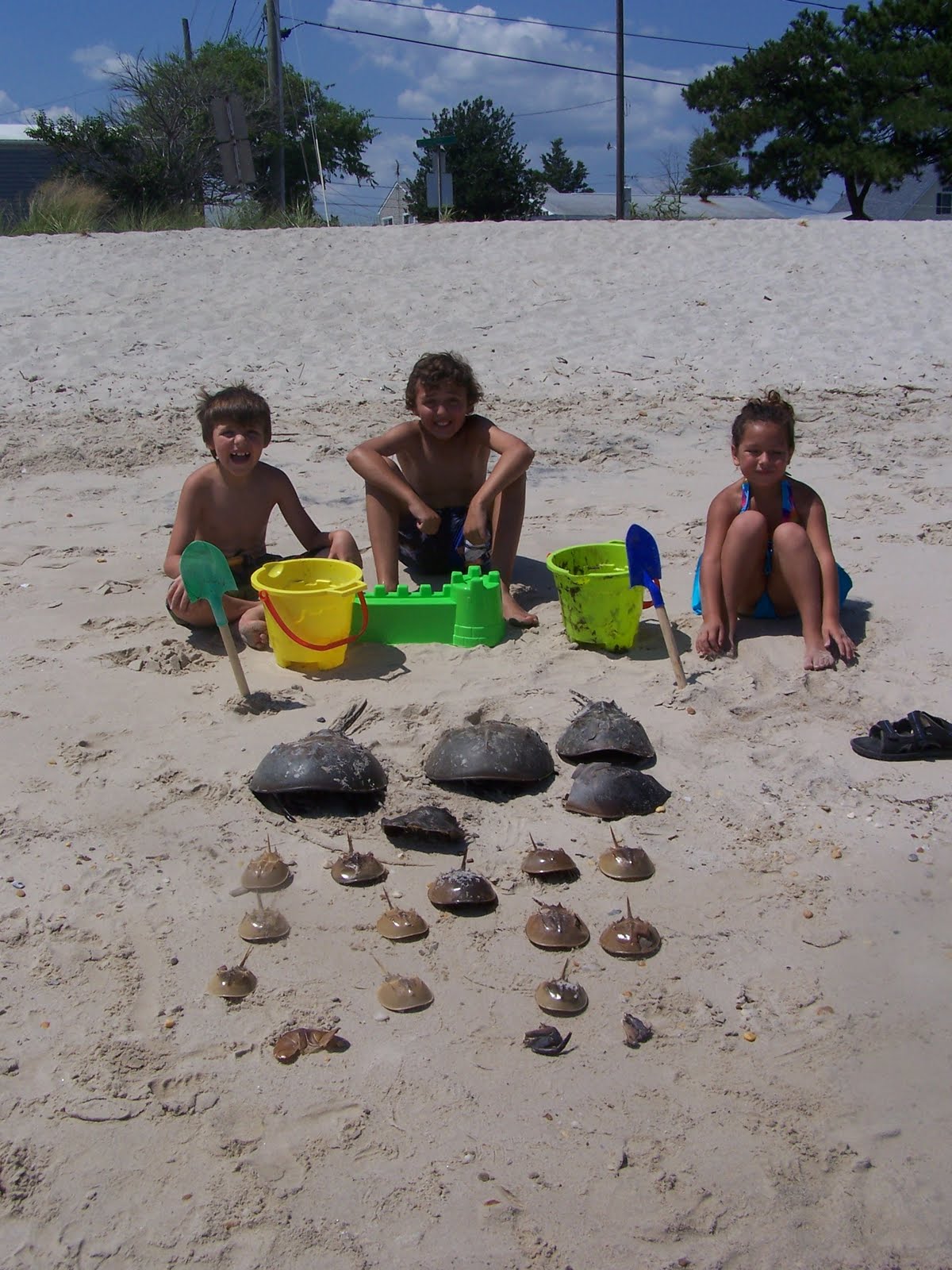 The Traveling Delanos Bowers Beach, Delaware