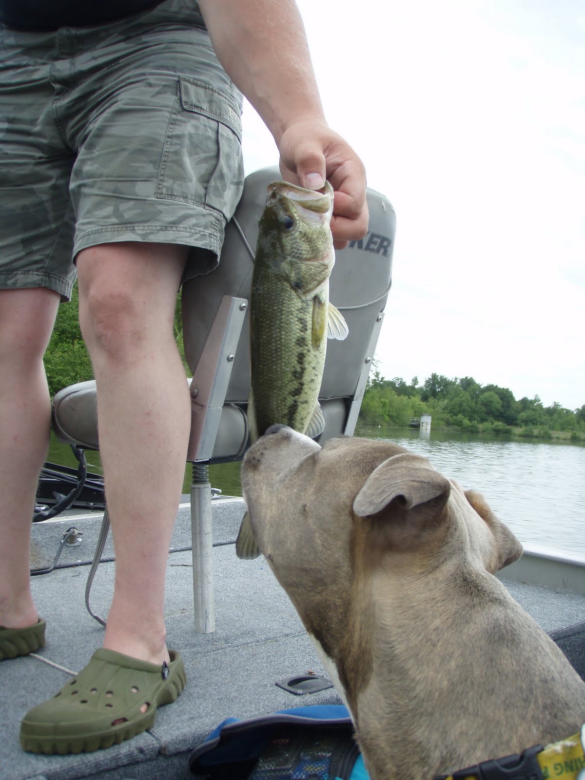 Traveling Fun Fishing at Bald Knob Lake