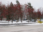 Finland - Oulu