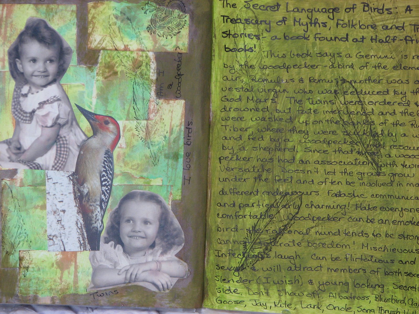 [Woodpecker+finished.JPG]