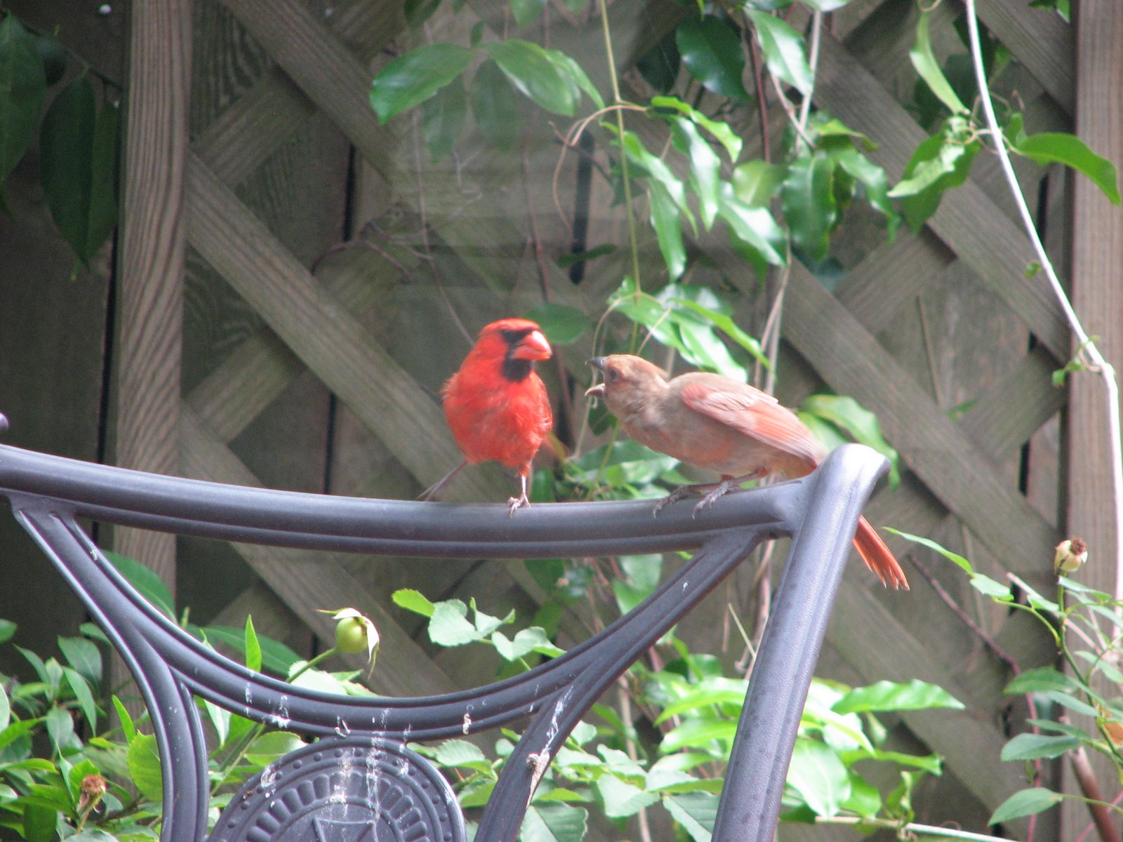 [babe+&+dad+card.JPG]