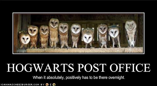 [funny-pictures-hogwarts-has-a-post-office.jpg]