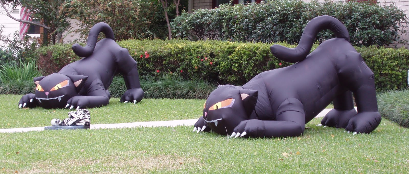 [Halloween+Kats.JPG]