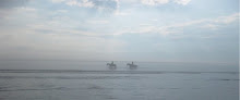 Foggy Beach Ride